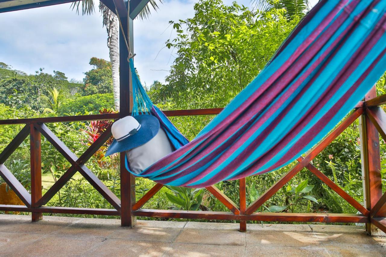 Domaine Desaubin Luxury Guest house